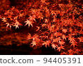 夜晚的秋葉 94405391