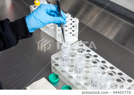 Scientist preparing slides for karyotipe and fluorescence in situ hybridization - FISH in the laboratory. Acute lymphocytic leukemia.  Translocation 4;11. 94405778
