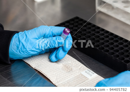 Scientist preparing slides for karyotipe and fluorescence in situ hybridization - FISH in the laboratory. Acute lymphocytic leukemia.  Translocation 4;11. 94405782