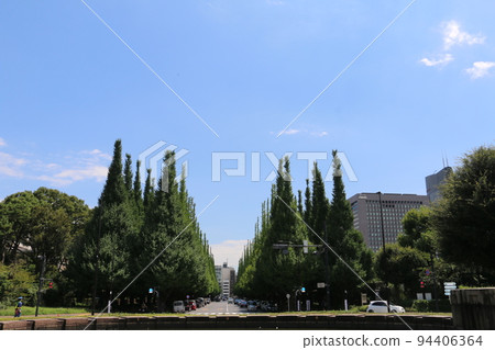 Meishi Shrine Ginkgo tree ginkgo trees Meishi Shrine Ginkgo tree ginkgo trees 94406364