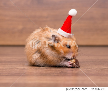 Cute hamster with santa hat on the table 94406395