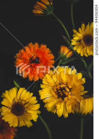 Calendula yellow and orange flowers on black water background, copy space 94406904