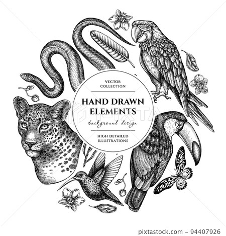 Tropical animals circle design. Hand drawn leopard, snake, hummingbird, toucan, scarlet macaw, african giant swallowtail, strelitzia, orchid, phalaenopsis. 94407926