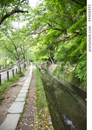 Philosopher's Path in Spring Kyoto Japan 94408455