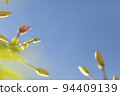 Colorful Blur Flower in the Garden with Bokeh, abstract blurred flower background 94409139