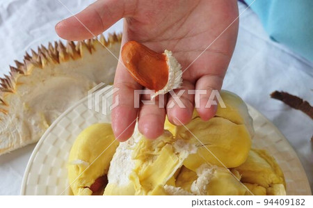 Hand Holding Durian Seed Hand Holding Durian Seed 94409182
