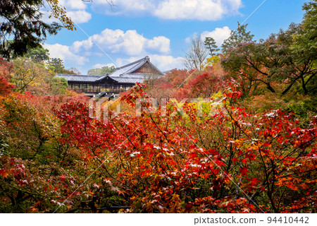 從通天橋看大本山東福寺的紅葉 94410442