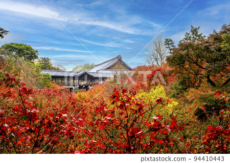 Daihonzan Tofukuji Temple Autumn leaves viewed from Tsutenkyo Bridge Daihonzan Tofukuji Temple Autumn leaves viewed from Tsutenkyo Bridge 94410443