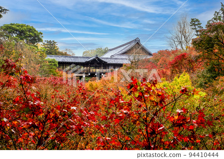 從通天橋看大本山東福寺的紅葉 從通天橋看大本山東福寺的紅葉 94410444