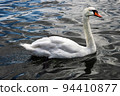 A Swan 94410877