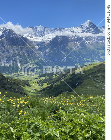 The Alps seen from the hiking trail from First to Bachalpsee in Grindelwald, Switzerland The Alps seen from the hiking trail from First to Bachalpsee in Grindelwald, Switzerland 94411648