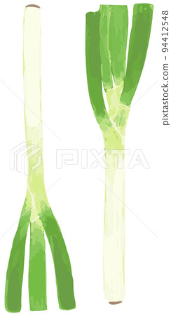 Green onion Green onion 94412548