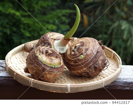 Taro in a colander Taro in a colander 94412817