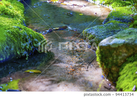 Natural scenery with flowing water 94413734