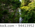 Minoh Waterfall surrounded by trees and flowing magnificently 94413952