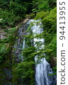 Minoh Waterfall surrounded by trees and flowing magnificently 94413955