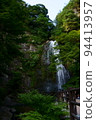 Minoh Waterfall surrounded by trees and flowing magnificently 94413957