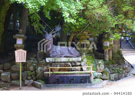 Kasuga Taisha Shrine Fushika Washing Place Nara Prefecture Kasuga Taisha Shrine Fushika Washing Place Nara Prefecture 94414180