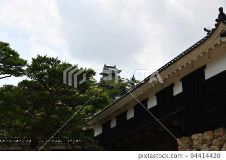 Kochi Castle in summer 94414420