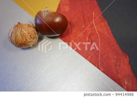 Chestnut that feels autumn 94414986