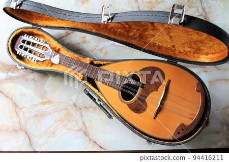mandolin in case 94416211