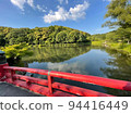 Forest on the surface of the water 94416449