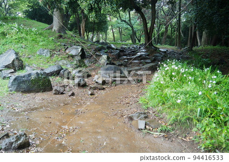 Ishigakiyama Ichiya castle ruins in the rain, climbing road from Umaya Kuruwa to Honjo Kuruwa [Odawara City, Kanagawa Prefecture] 94416533