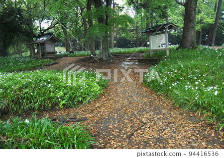 Ishigakiyama Ichiya castle ruins in the rain, Honjo Kuruwa with a shrine and a sign [Odawara City, Kanagawa Prefecture] 94416536