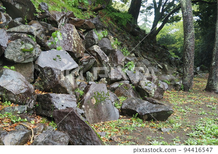 Ishigakiyama Ichiya Castle Ruins in the Rain, Stone Wall Ruins of Nishikuruwa [Odawara City, Kanagawa Prefecture] 94416547