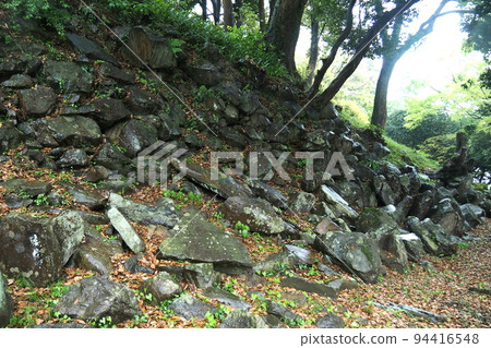Ishigakiyama Ichiya Castle Ruins in the Rain, Stone Wall Ruins of Nishikuruwa [Odawara City, Kanagawa Prefecture] 94416548