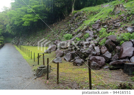 Ishigakiyama overnight castle ruins in the rain, stone wall ruins on the south side of Minami Kuruwa [Odawara City, Kanagawa Prefecture] 94416551