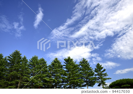 Farm landscape of Tokachi Plain in summer Farm landscape of Tokachi Plain in summer 94417030