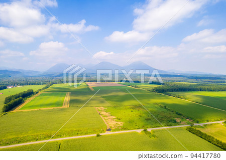 無人機攝影 | 金色的玉米田和廣闊的田野遍布北海道大地 94417780
