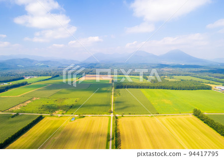 Drone photography | Golden corn fields and vast fields spread across the land of Hokkaido 94417795