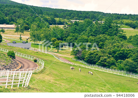 Yatsugatake Makiba Park 94418006