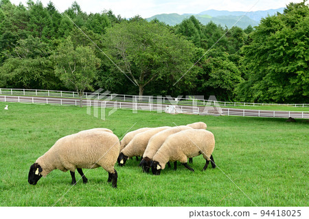 八岳牧場公園 94418025
