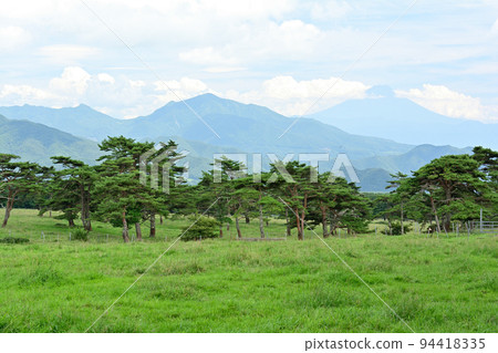 Yatsugatake Makiba Park and Mount Fuji 94418335