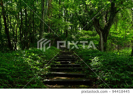 Yatsugatake Makiba Park 94418445