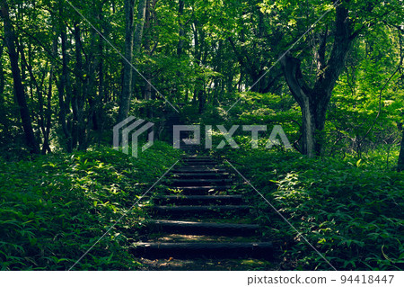 Yatsugatake Makiba Park 94418447