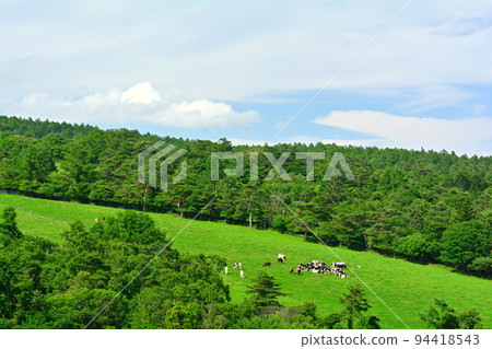 八岳牧場公園 94418543