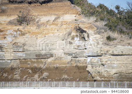 Byobugaura strata seen in spring 94418600