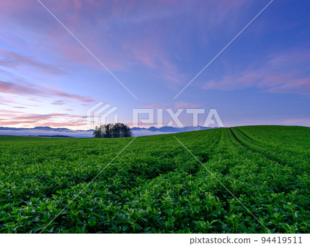 北海道_日出天空和十胜山脈 北海道_日出天空和十胜山脈 94419511