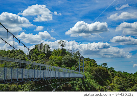 Hamakita Forest Park Suspension Bridge (Sky Walkway) 94420122