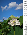 Lotus flower  94420153