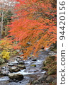 Autumn leaves and rivers 94420156