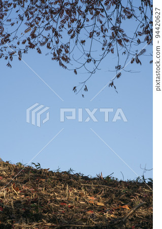 Fallen leaves piled up on the thatched roof and autumnal leaves in Haze and Rikugien Gardens 94420627