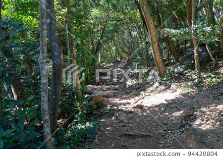 《Fukuoka Prefecture》Genkai Quasi-National Park Itoshima Totoro Forest Itoshima City Shima Keya 94420804