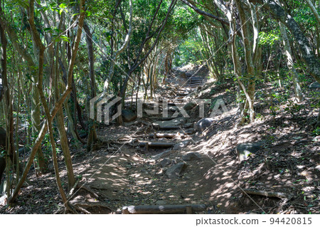 《Fukuoka Prefecture》Genkai Quasi-National Park Itoshima Totoro Forest Itoshima City Shima Keya 《Fukuoka Prefecture》Genkai Quasi-National Park Itoshima Totoro Forest Itoshima City Shima Keya 94420815