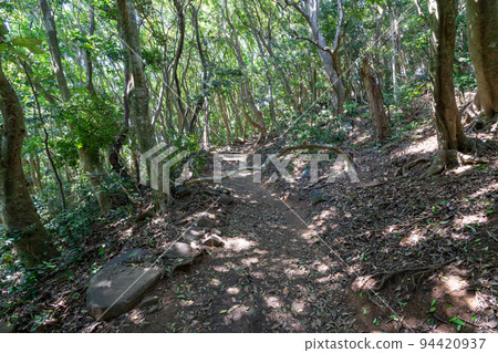 《福岡縣》玄界國定公園 糸島龍貓之森 糸島市志摩屋屋 《福岡縣》玄界國定公園 糸島龍貓之森 糸島市志摩屋屋 94420937