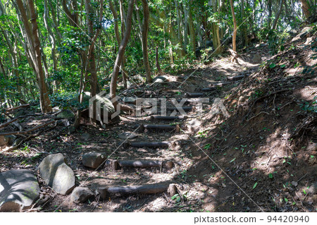 《Fukuoka Prefecture》Genkai Quasi-National Park Itoshima Totoro Forest Itoshima City Shima Keya 94420940